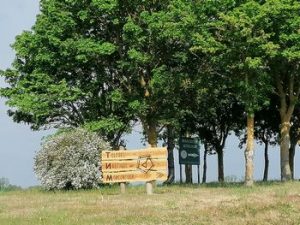 Lire la suite à propos de l’article marché de producteurs locaux