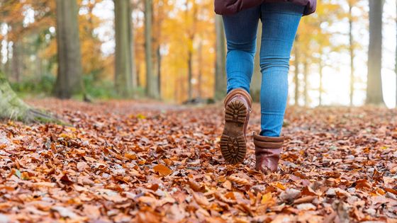 Marcher avec Bien Vivre